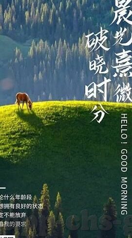 久久精品国产亚洲av麻豆图片-探索视觉艺术的新维度，深入了解国产影视作品中的创意表达