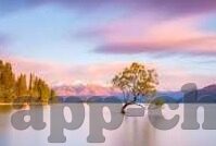 麻豆破解版app下载-解析当前网络热议的麻豆破解版app下载现象及安全警示